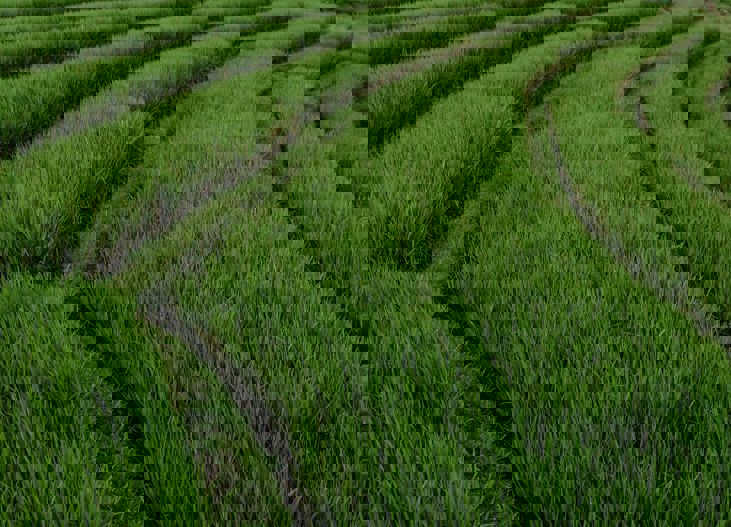 Polina Kuzovkova Jsqw2zhon9y Unsplash