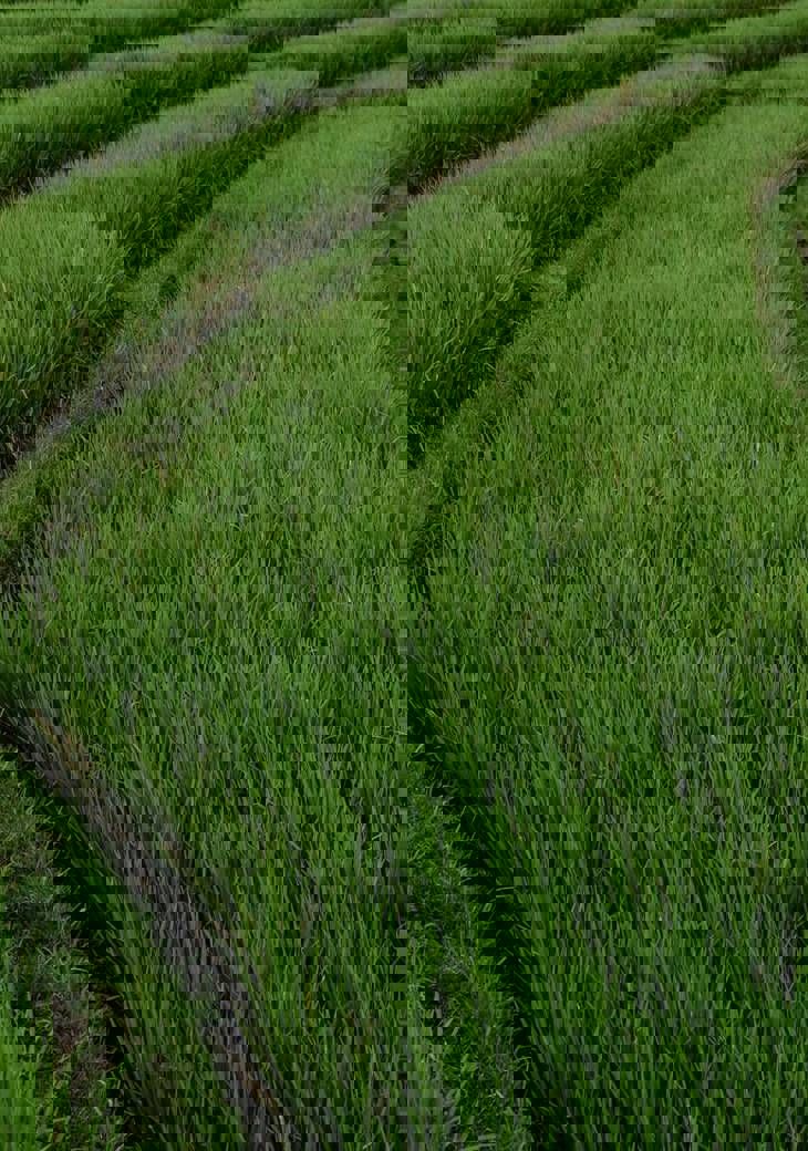 Polina Kuzovkova Jsqw2zhon9y Unsplash