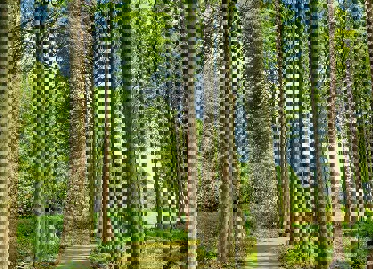 Natsumi Uiyp6nelqwi Unsplash (1)