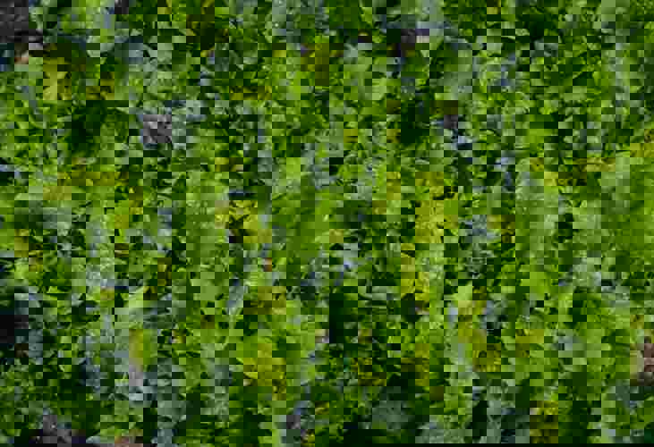 Nikolett Emmert Wp1jkhljngq Unsplash (1)