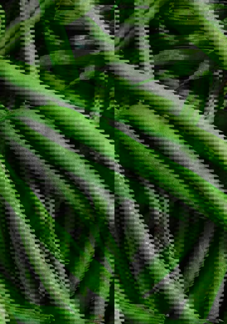 Karolina Grabowska Nejcxhdpipu Unsplash (1)