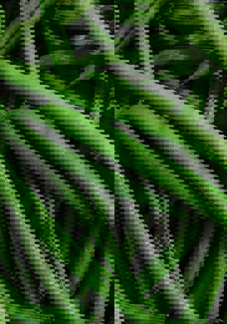 Karolina Grabowska Nejcxhdpipu Unsplash (1)