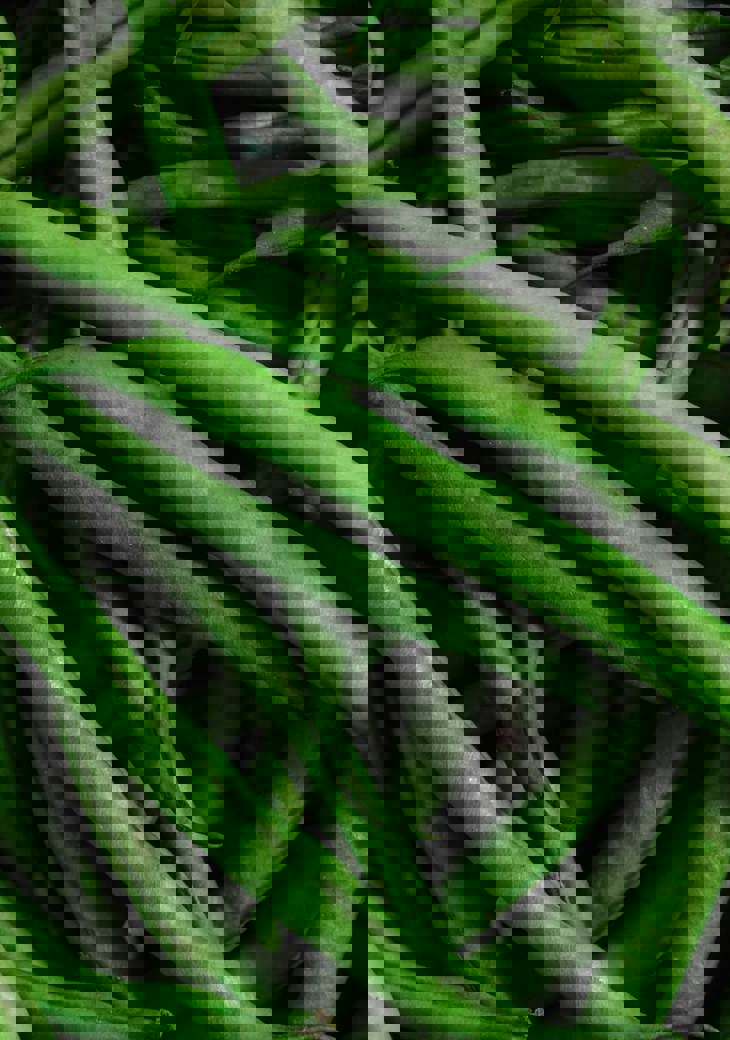 Dedicated Prepared Meal Suppliers Cuisine Centre dedicated-prepared-meal-suppliers-cuisine-centre