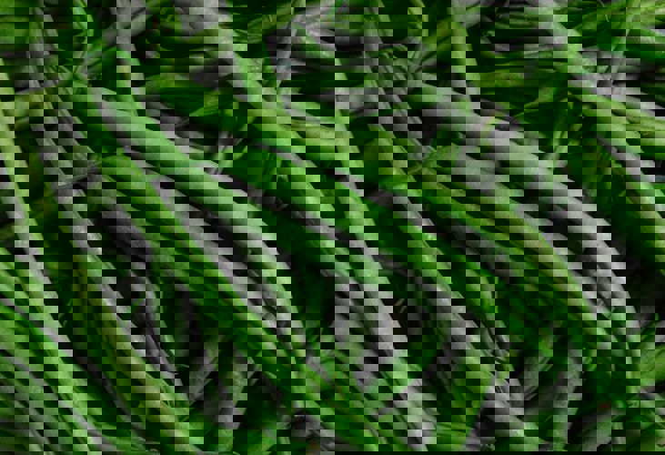 Karolina Grabowska Nejcxhdpipu Unsplash (1)