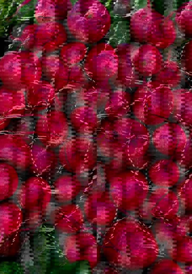 Engin Akyurt Opzzh1wj6jq Unsplash