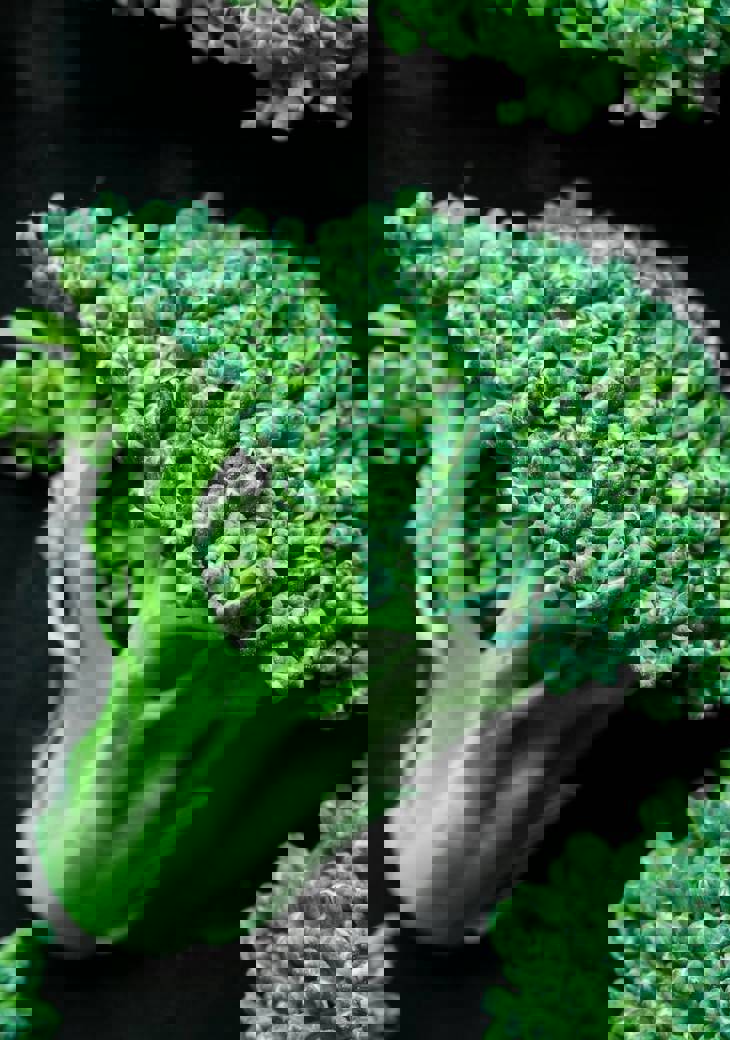 Patrycja Jadach S Cswyn5icm Unsplash