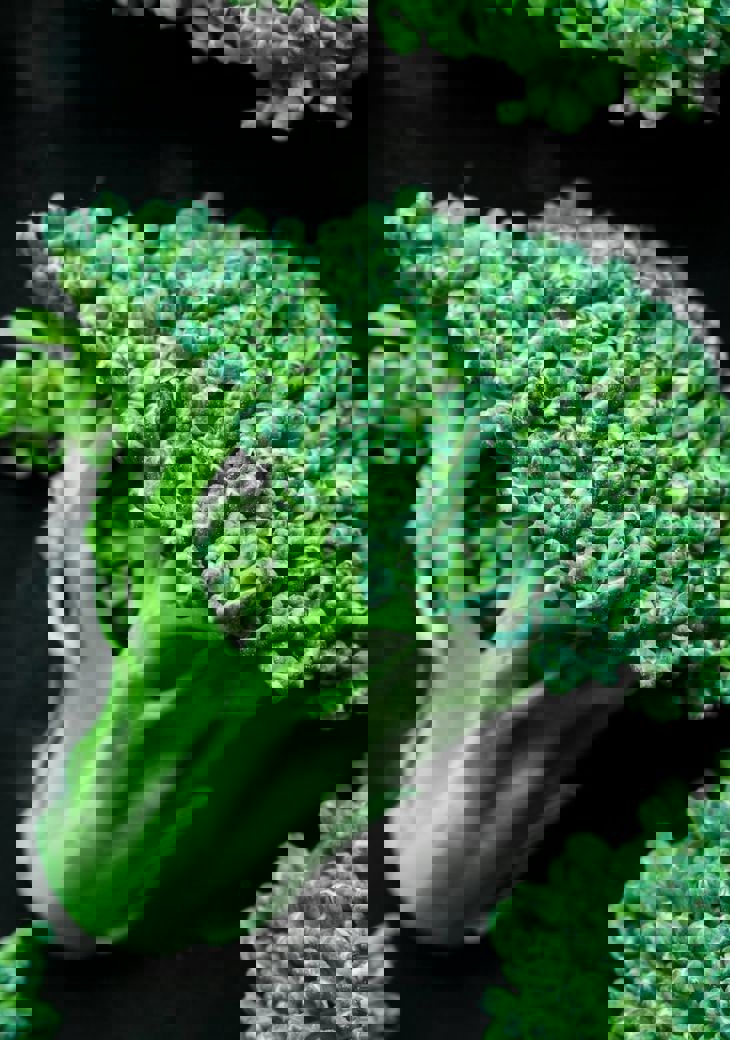 Patrycja Jadach S Cswyn5icm Unsplash