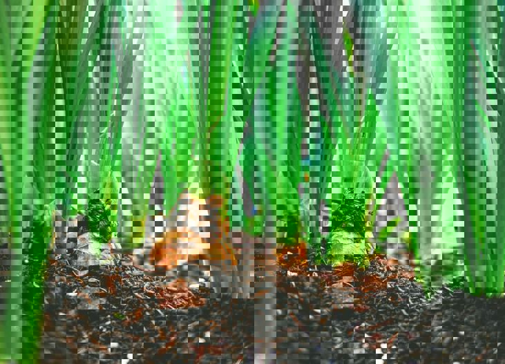 Maarten Van Den Heuvel 1N8zqoqfugc Unsplash (1)