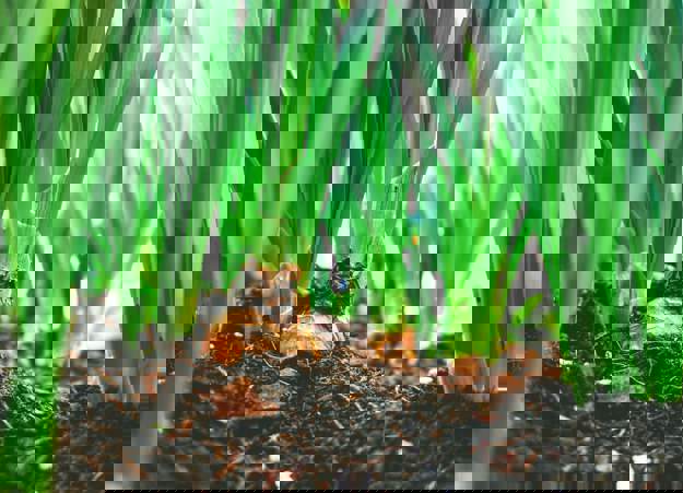 Maarten Van Den Heuvel 1N8zqoqfugc Unsplash (1)