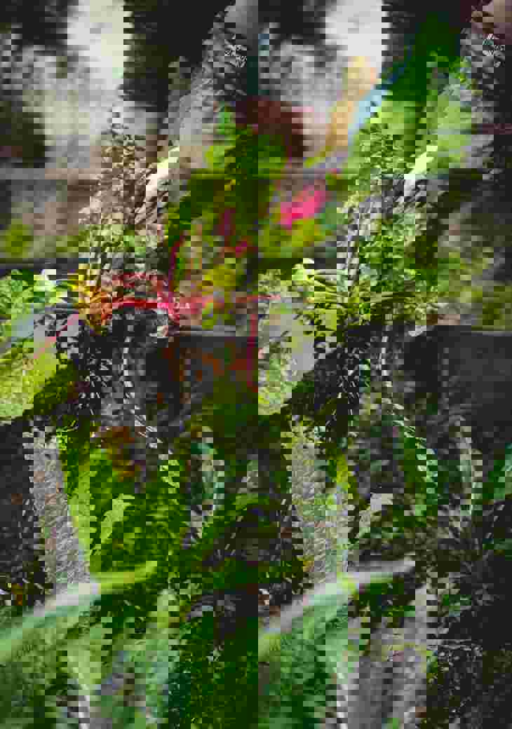 Jonathan Kemper 1Hhrdiolfpu Unsplash