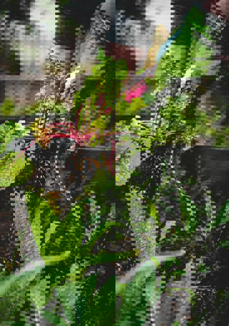 Jonathan Kemper 1Hhrdiolfpu Unsplash