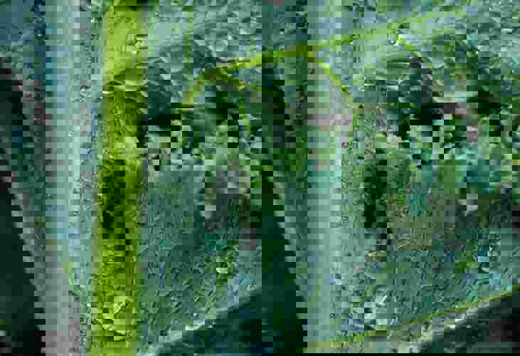 Patrycja Jadach Bycl8yhoizi Unsplash