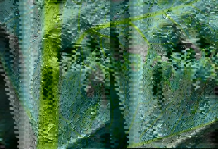 Patrycja Jadach Bycl8yhoizi Unsplash