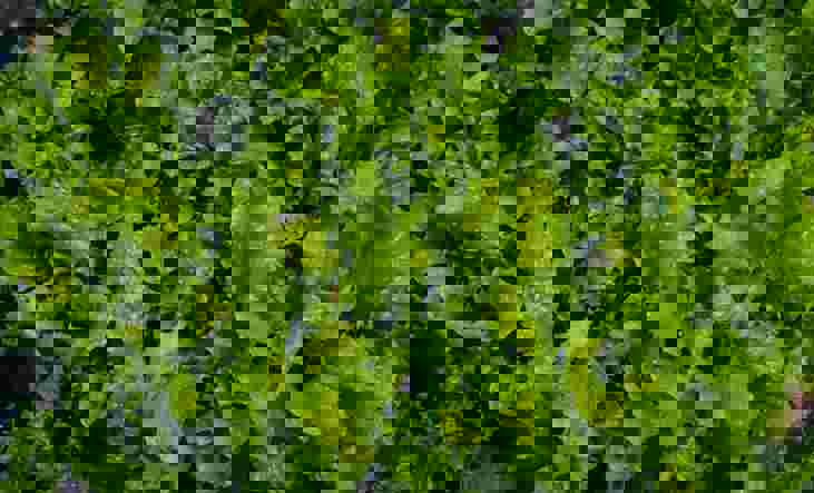 Nikolett Emmert Wp1jkhljngq Unsplash