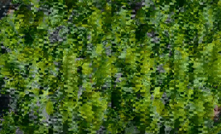 Nikolett Emmert Wp1jkhljngq Unsplash