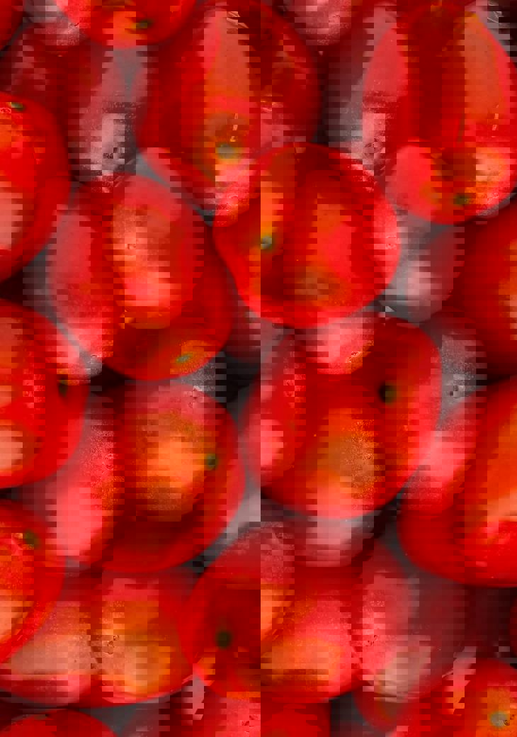 Maryam Sicard Ti1e7mr4gqu Unsplash (1)