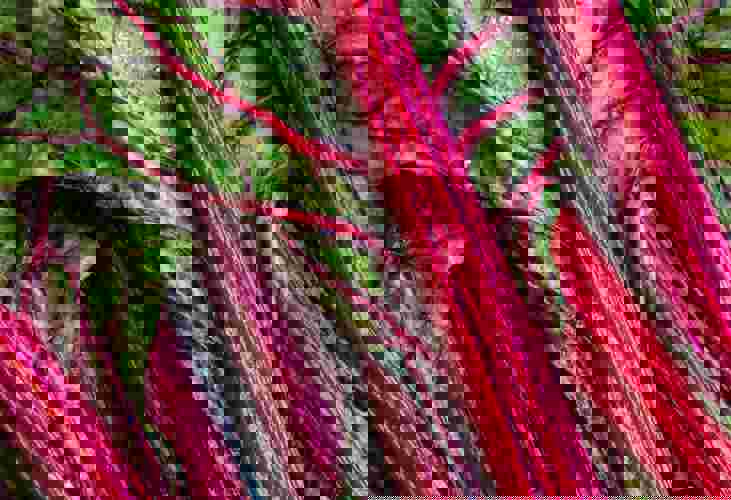 Heather Barnes Ij4kwgvszam Unsplash (1)