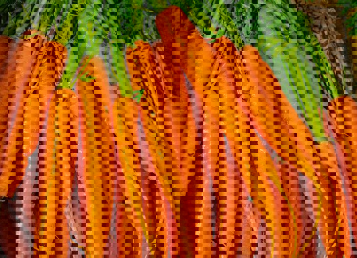 Nick Fewings D9gduadpnes Unsplash (1)