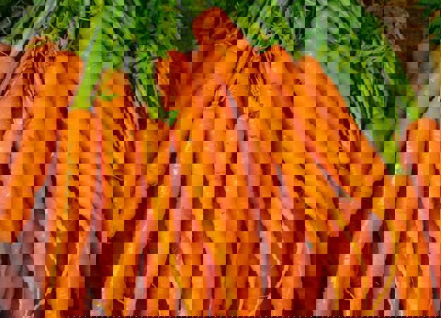 Nick Fewings D9gduadpnes Unsplash (1)