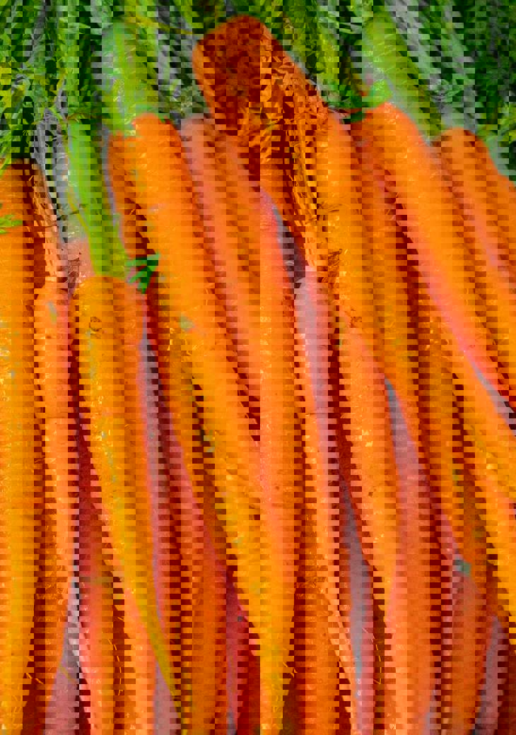 Nick Fewings D9gduadpnes Unsplash (1)