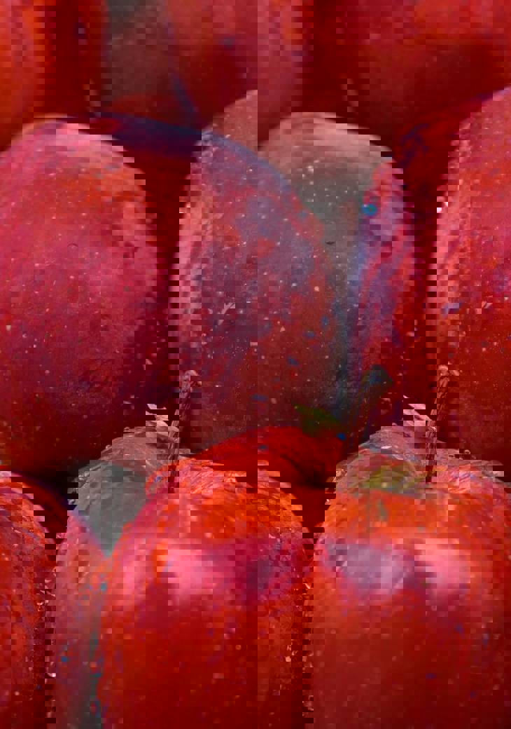 Gowtham Agm Erhs4xeorhc Unsplash (1)