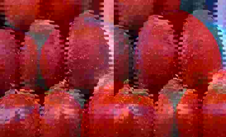 Gowtham Agm Erhs4xeorhc Unsplash (1)