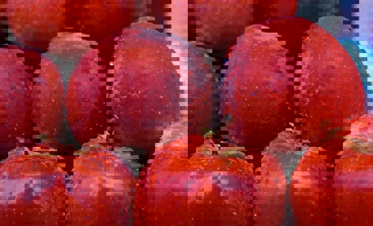 Gowtham Agm Erhs4xeorhc Unsplash (1)