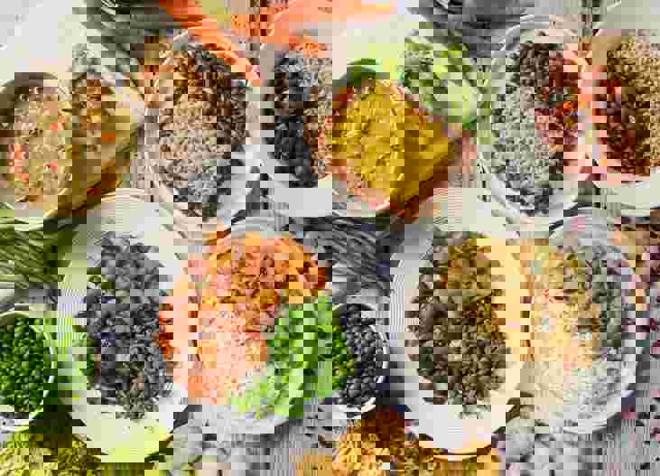 Med Steamplicity Dish Selection 04