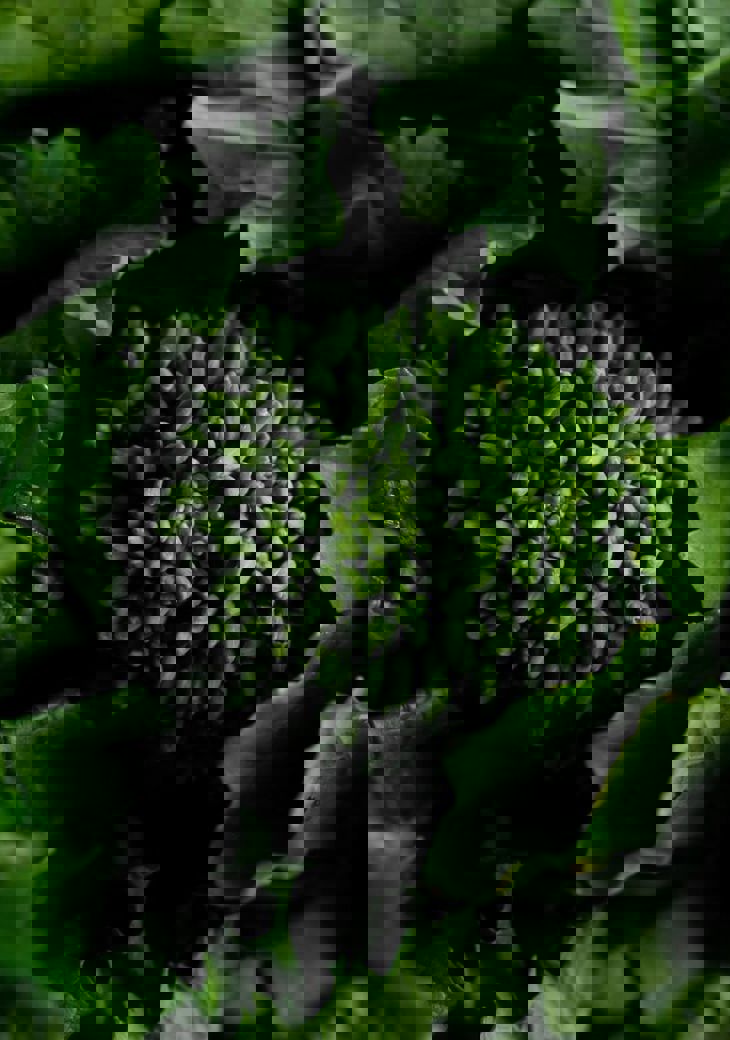 Christina Rumpf Zemfs3zlgy8 Unsplash (1) (1) (1)